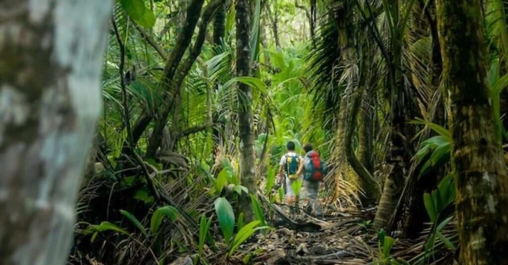 Costa Rica: Rainforests, Wildlife and Outdoor Adventures