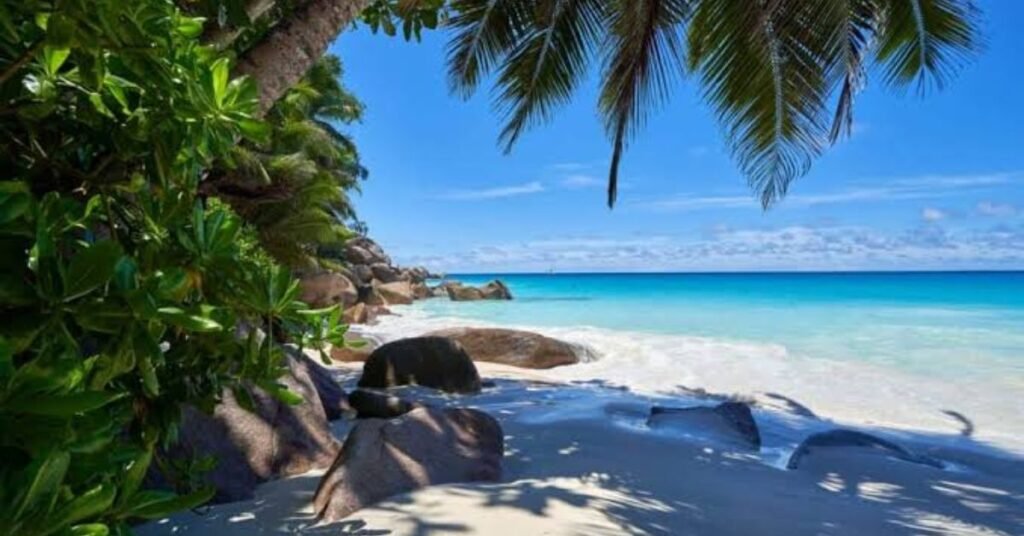 Dream Beach Destinations and Tropical Islands